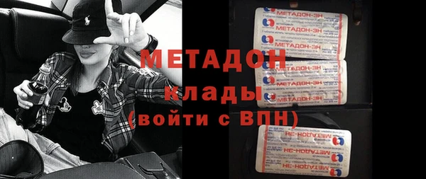 хмурый Аркадак