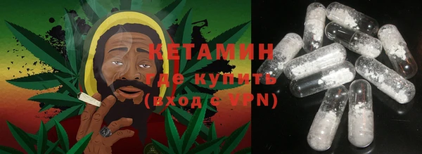 хмурый Аркадак