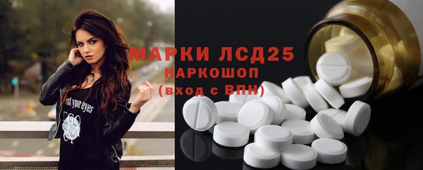хмурый Аркадак