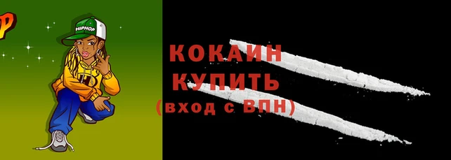 хмурый Аркадак