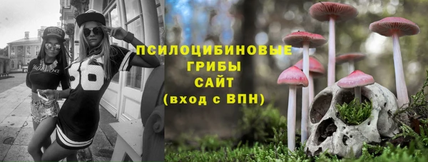 эйфоретик Арсеньев