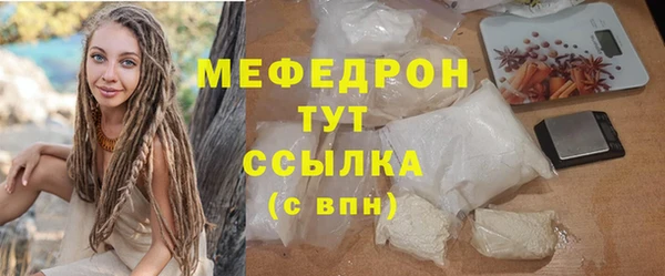 хмурый Аркадак
