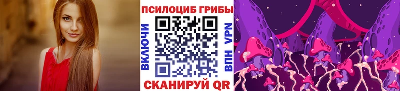 как найти наркотики  Талдом  Псилоцибиновые грибы ЛСД 